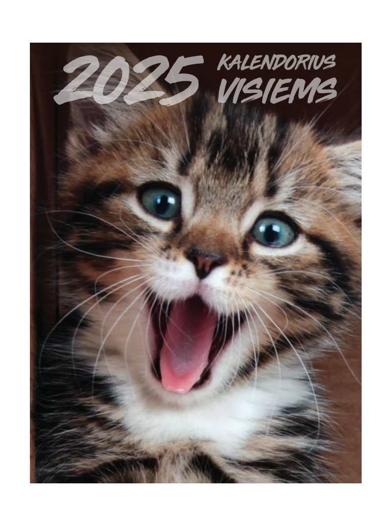 2025 Plėšomas sieninis kalendorius. Visiems1{IMAGE}