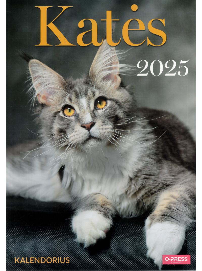 2025 Kalendorius A3. Katės1{IMAGE}