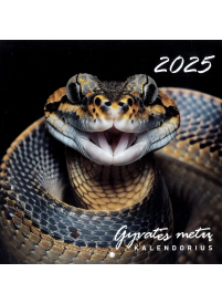 2025 Gyvatės metų kalendorius1{IMAGE}