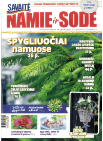 Namie ir sode1{IMAGE}