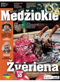 Medžioklė1{IMAGE}