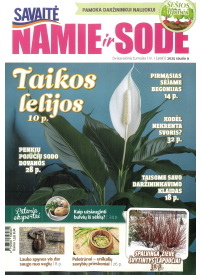 Namie ir sode1{IMAGE}