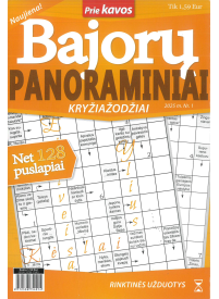 BAJORŲ Panoraminiai1{IMAGE}