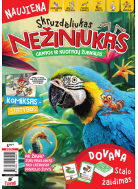 Skruzdėliukas Nežiniukas1{IMAGE}