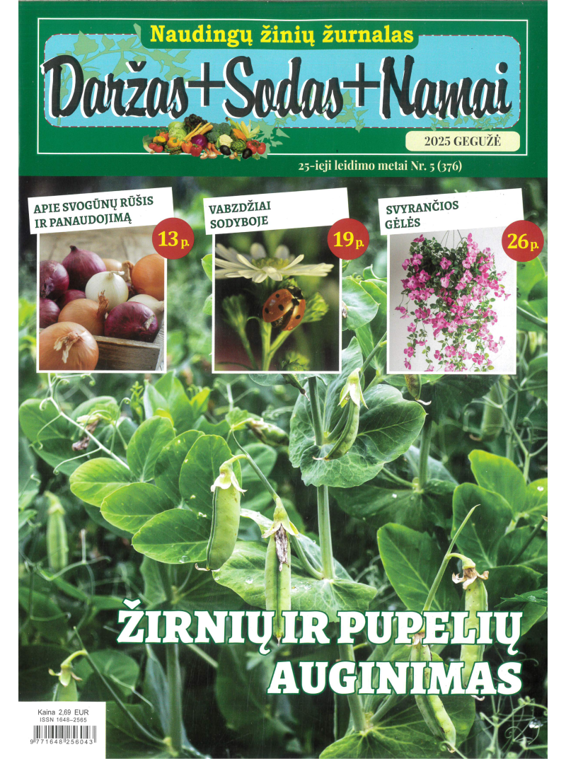 Daržas+Sodas+Namai1{IMAGE}