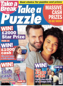 Take a Break Take a Puzzle1{IMAGE}