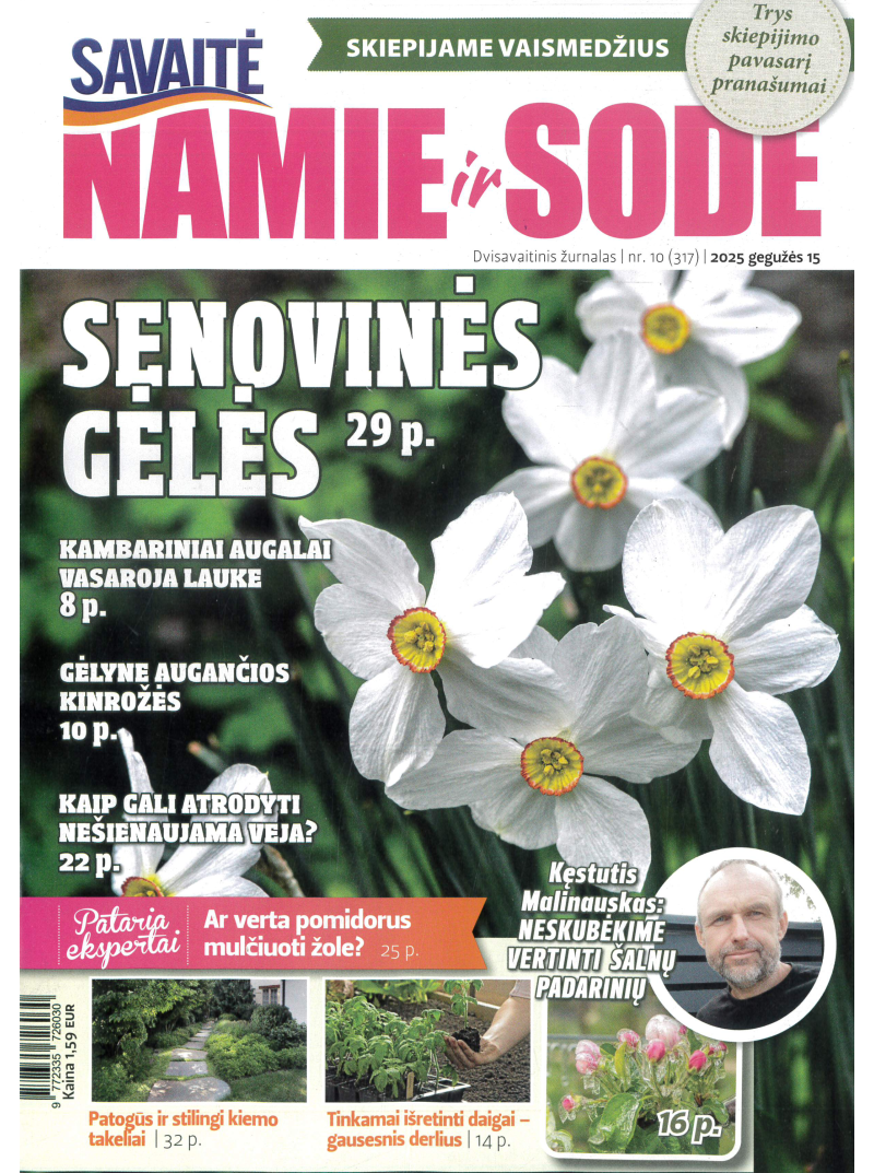 Namie ir sode1{IMAGE}