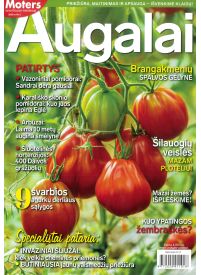 Moters savaitgalio patarimai. Augalai1{IMAGE}