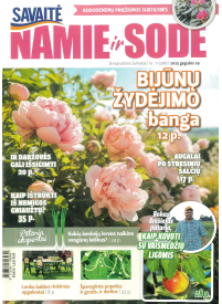 Namie ir sode1{IMAGE}
