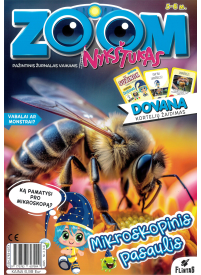 ZOOM Nykštukas1{IMAGE}