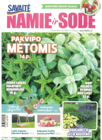 Namie ir sode1{IMAGE}