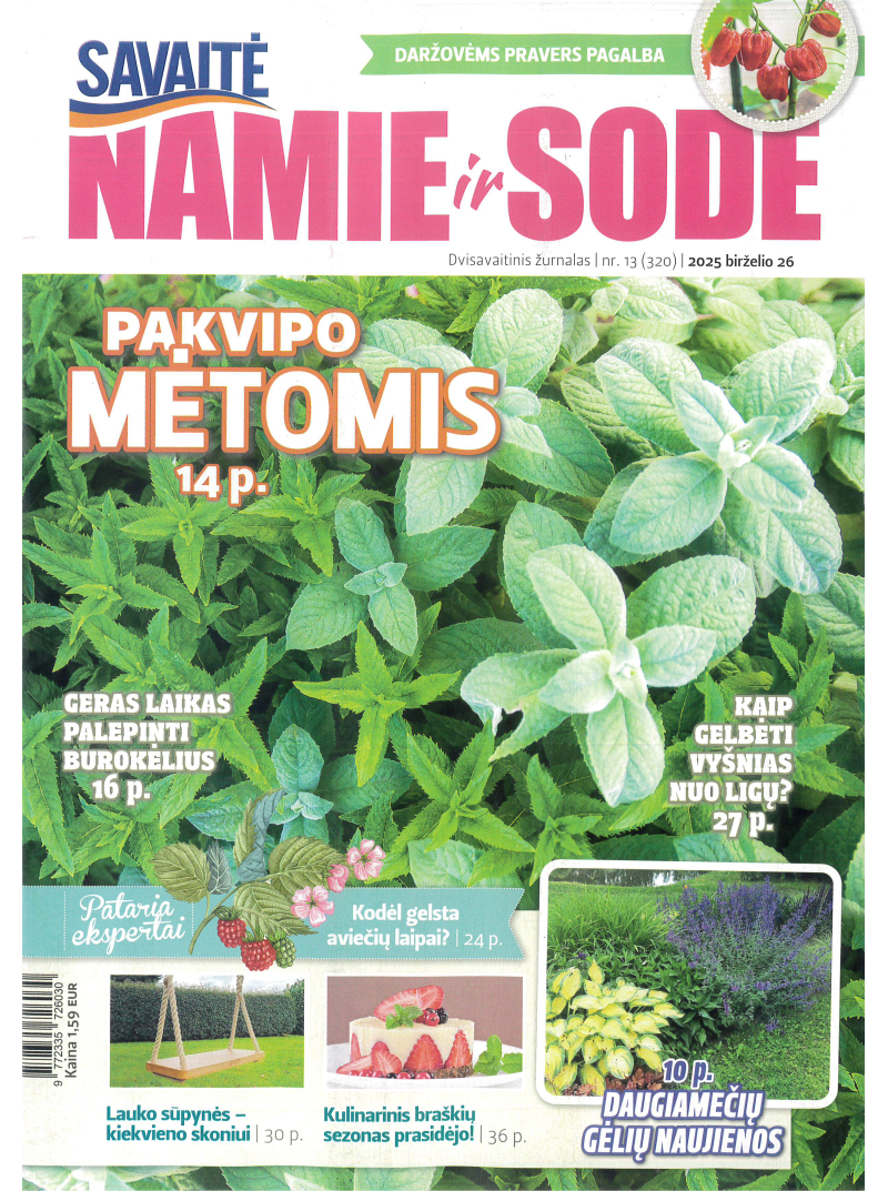 Namie ir sode1{IMAGE}