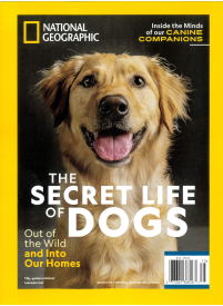 National Geographic Special1{IMAGE}