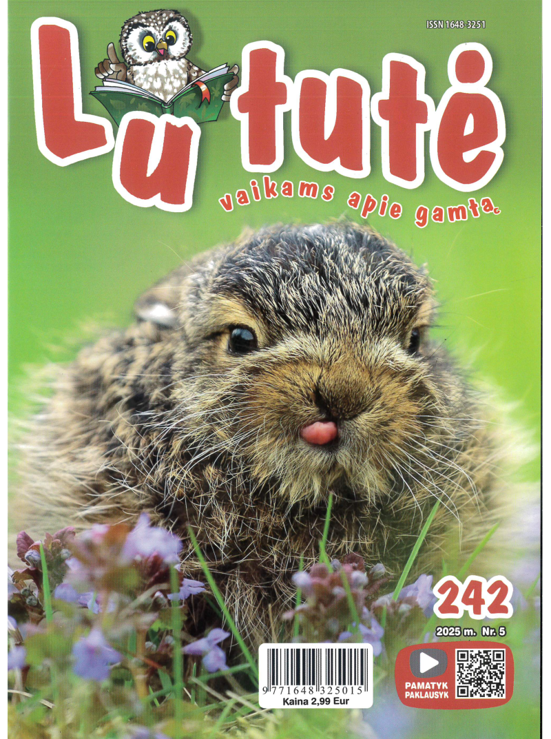 Lututė1{IMAGE}