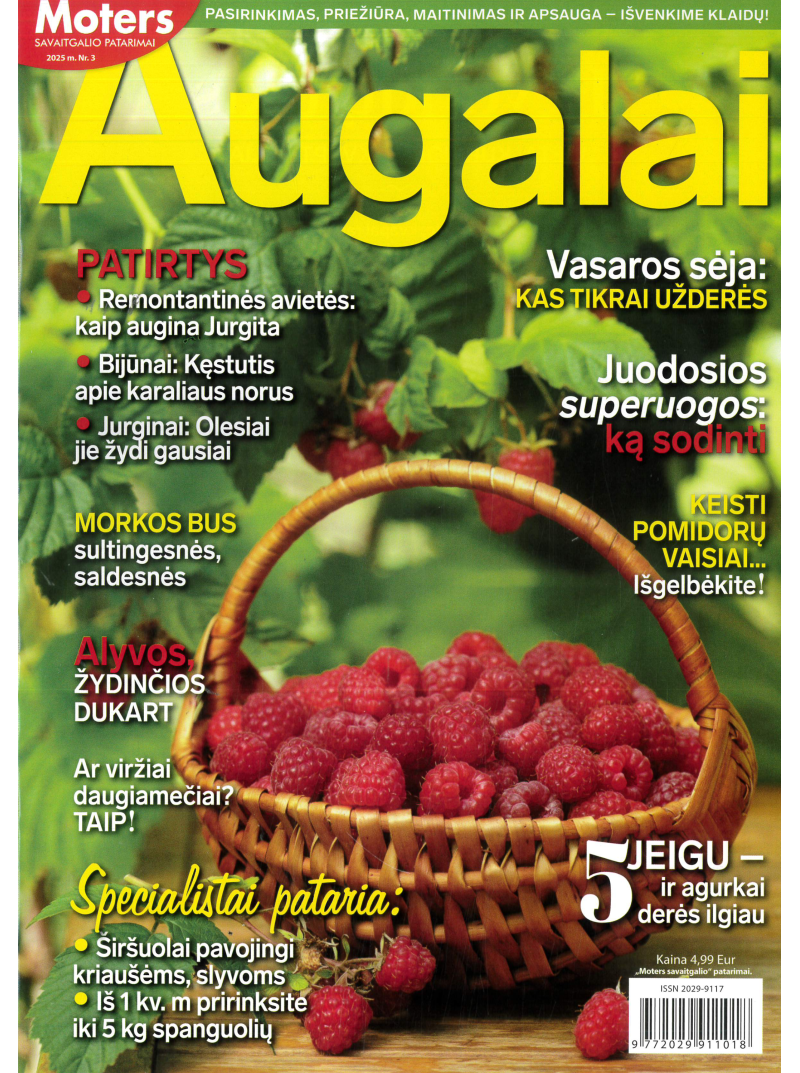 Moters savaitgalio patarimai. Augalai1{IMAGE}