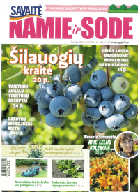 Namie ir sode1{IMAGE}