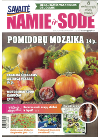 Namie ir sode1{IMAGE}