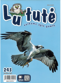 Lututė1{IMAGE}