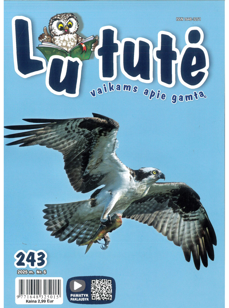 Lututė1{IMAGE}