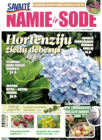 Namie ir sode1{IMAGE}
