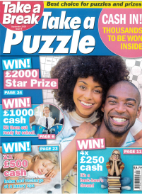 Take a Break Take a Puzzle1{IMAGE}