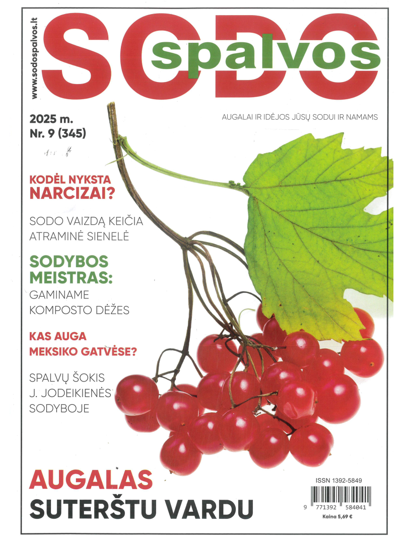 Sodo spalvos1{IMAGE}