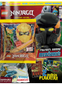 LEGO® NINJAGO®1{IMAGE}