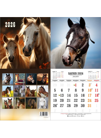 2026 Kalendorius. Žirgai1{IMAGE}