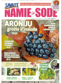 Namie ir sode1{IMAGE}