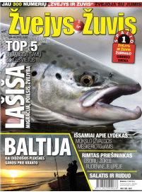 Žvejys ir žuvis1{IMAGE}