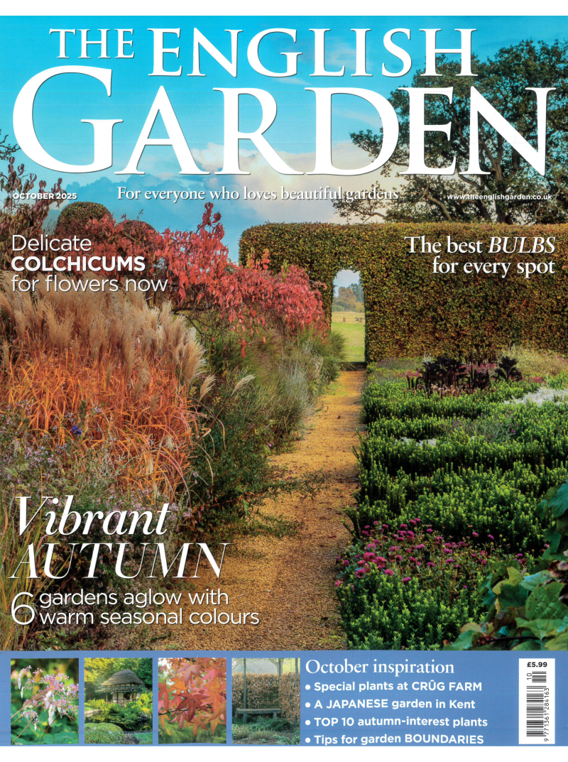 The English Garden1{IMAGE}