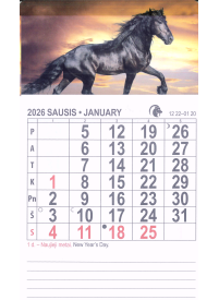 Magnetinis 2026 m. kalendorius (įvairios rūšys) A62{IMAGE}