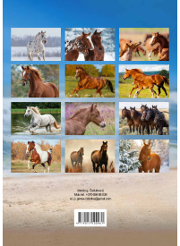 2026 metų žirgų kalendorius2{IMAGE}