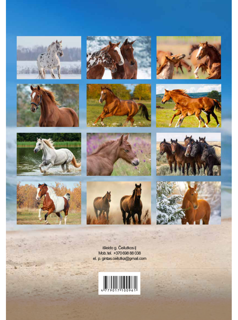 2026 metų žirgų kalendorius1{IMAGE}