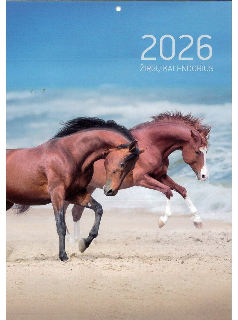 2026 metų žirgų kalendorius1{IMAGE}
