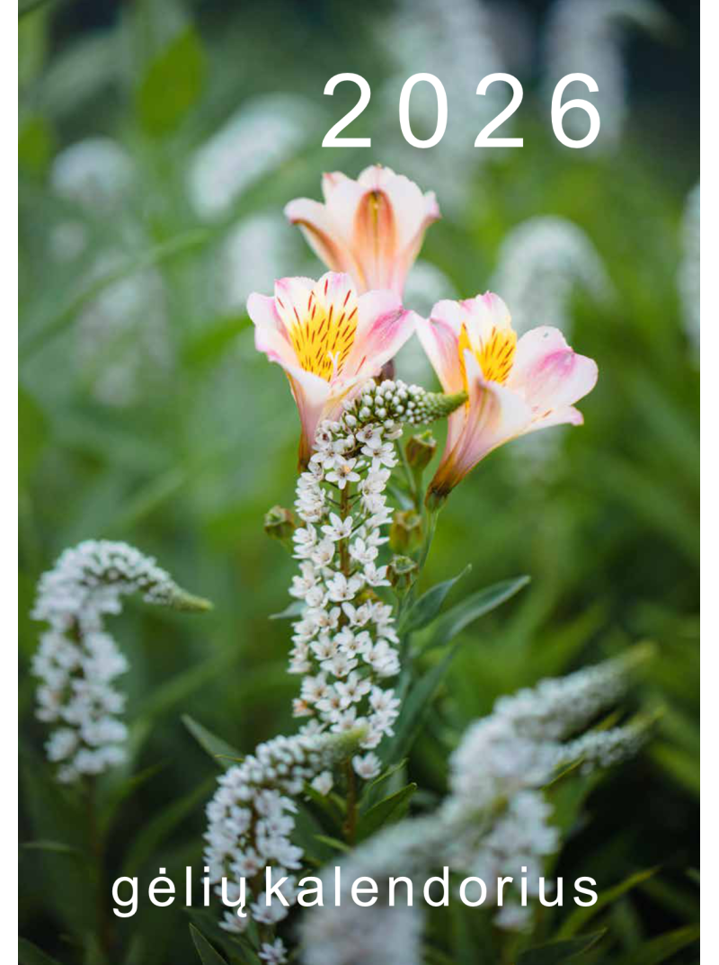 2026 Gėlių kalendorius1{IMAGE}