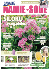 Namie ir sode1{IMAGE}