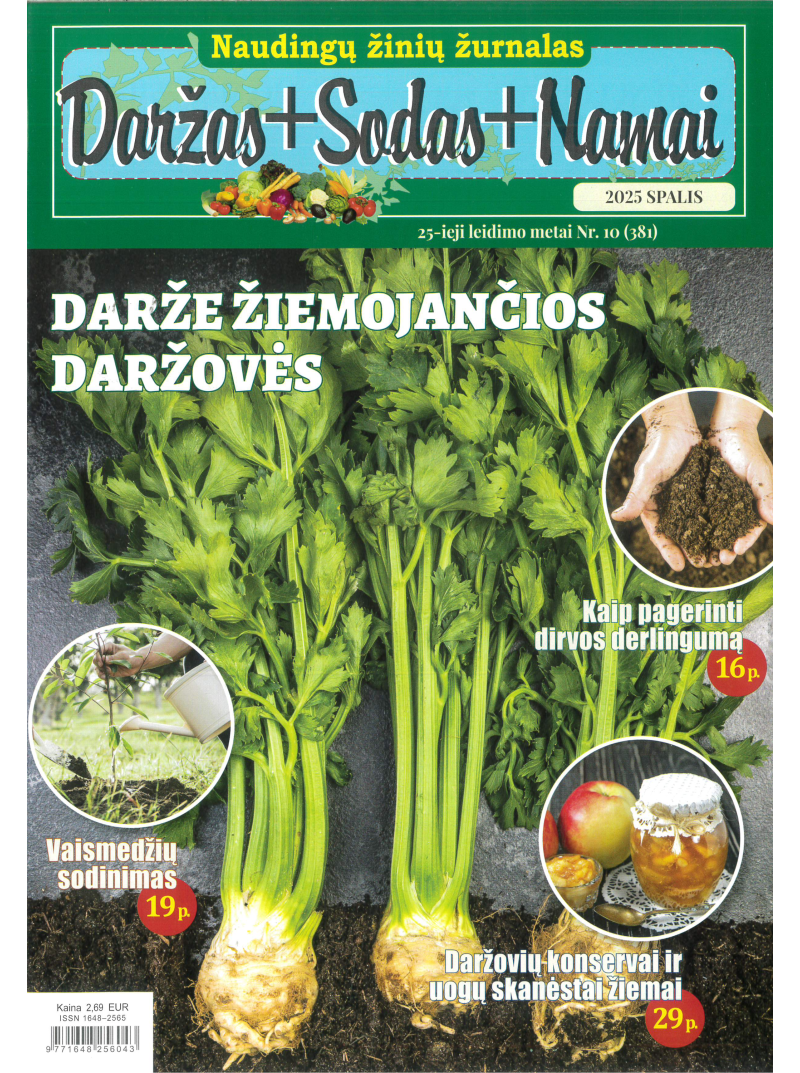 Daržas+Sodas+Namai1{IMAGE}