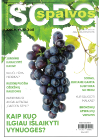 Sodo spalvos1{IMAGE}