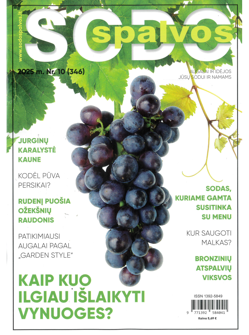 Sodo spalvos1{IMAGE}