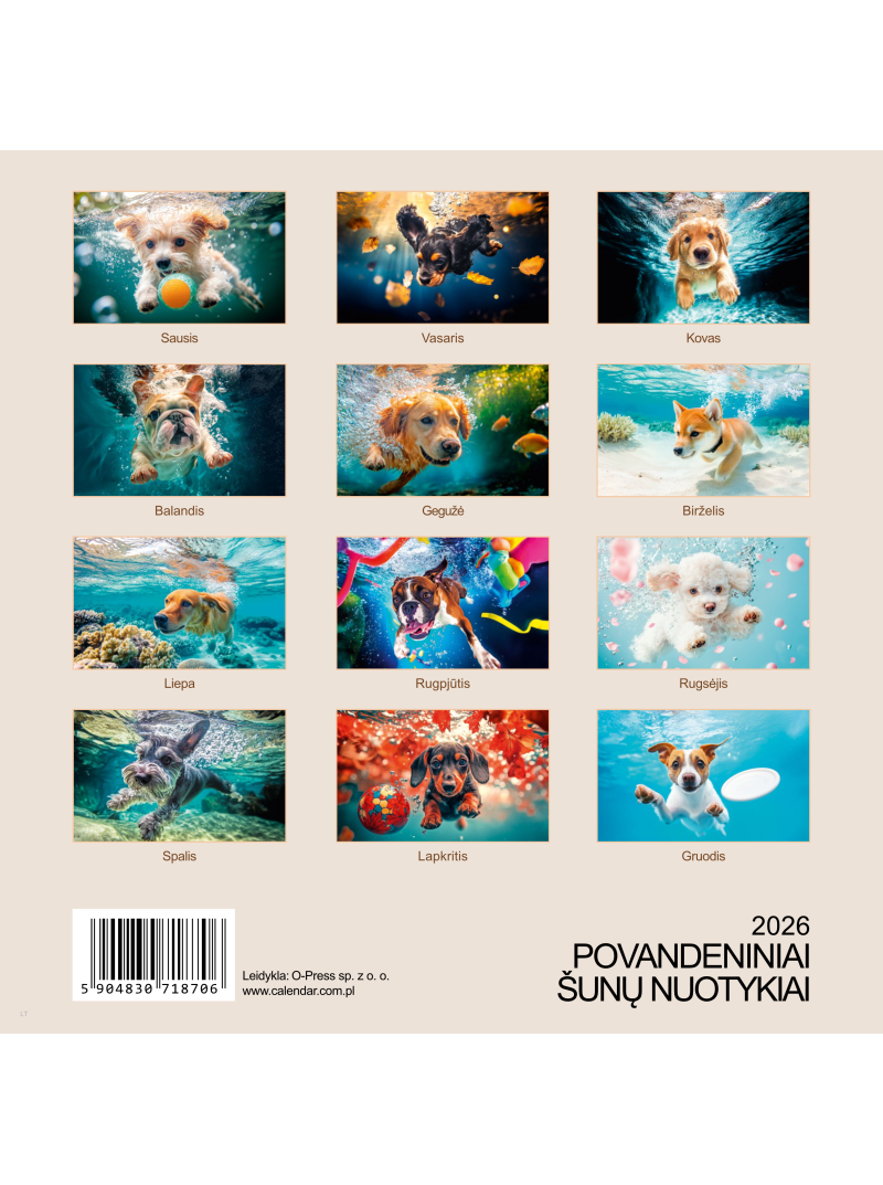 2026 kalendorius. Povandeniniai šunų nuotykiai1{IMAGE}