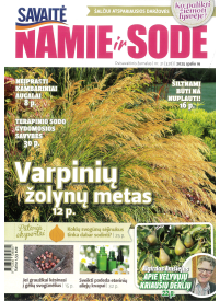 Namie ir sode1{IMAGE}
