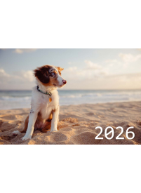 2026 Sieninis kalendorius. Šuo1{IMAGE}