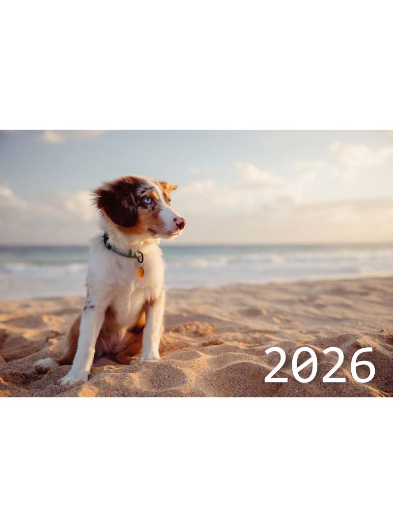 2026 Sieninis kalendorius. Šuo1{IMAGE}