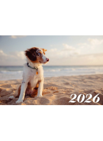 2026 Sieninis kalendorius. Šuo1{IMAGE}