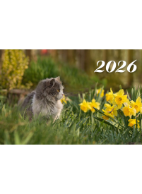 2026 Sieninis kalendorius. Katinas1{IMAGE}
