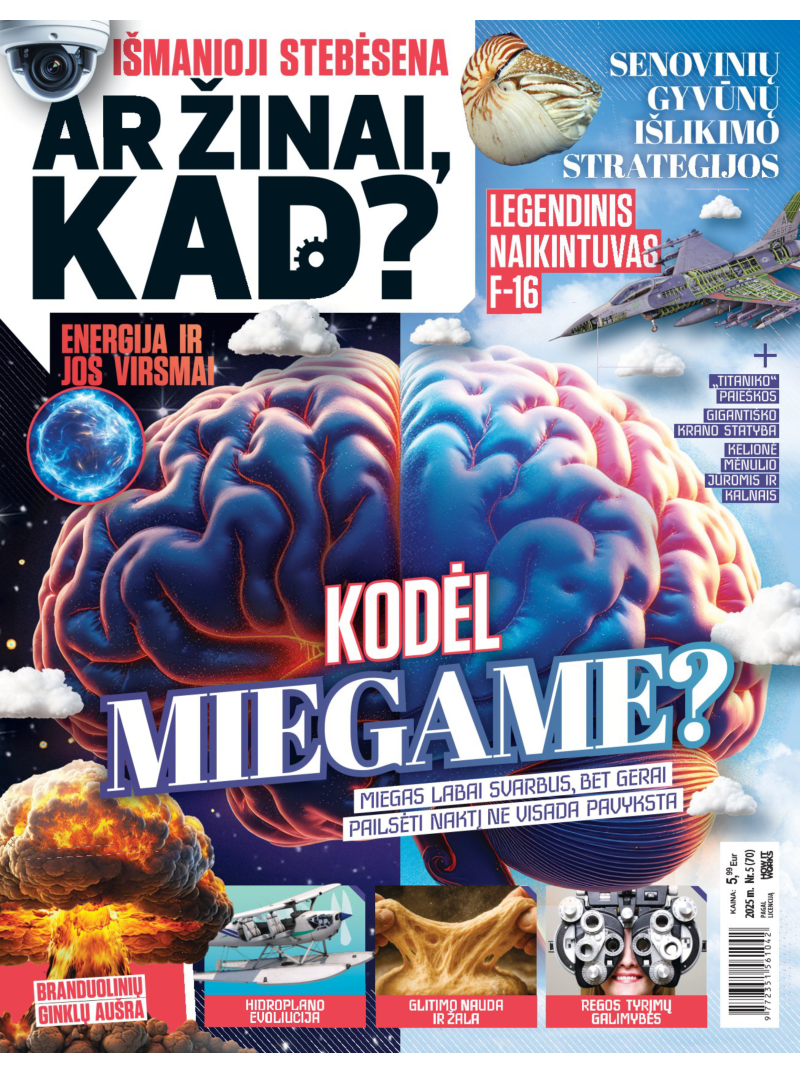 Ar žinai, kad?1{IMAGE}