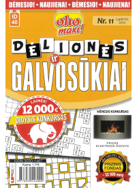 ID40 Oho maxi! Dėlionės ir galvosūkiai1{IMAGE}