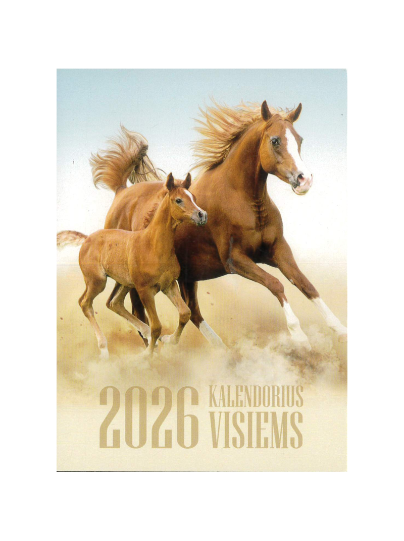 Plėšomas 2026 kalendorius dėžutėje. Visiems1{IMAGE}