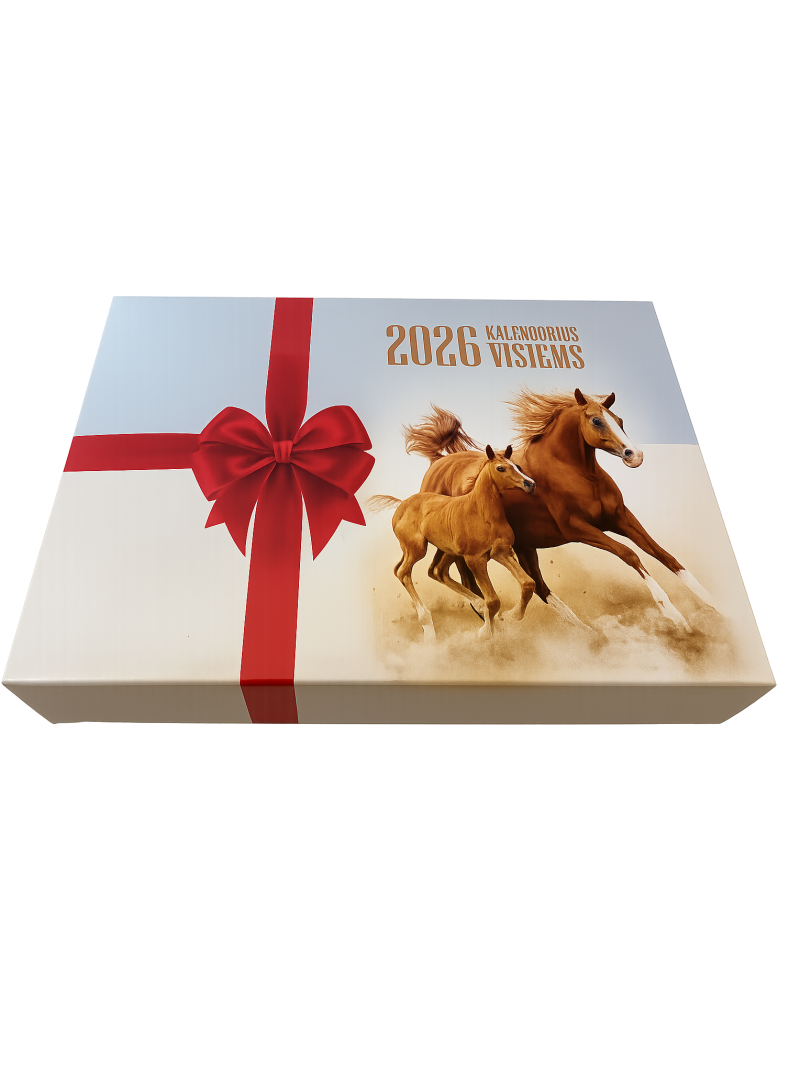 Plėšomas 2026 kalendorius dėžutėje. Visiems1{IMAGE}